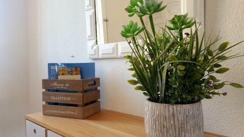 Apartamento El Palmeral