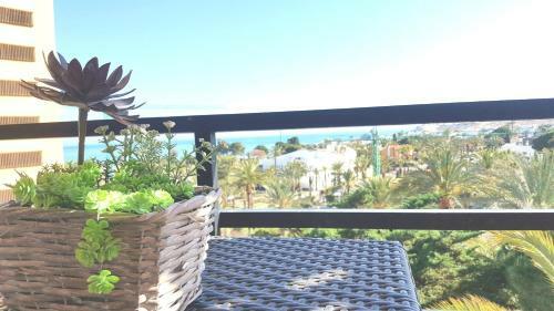 Apartamento El Palmeral