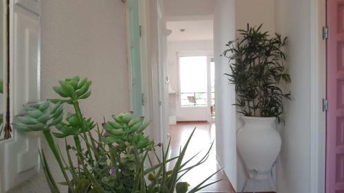 Apartamento El Palmeral