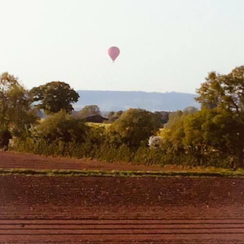 Archers Glamping Meadow