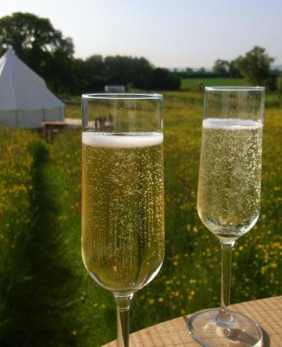 Archers Glamping Meadow