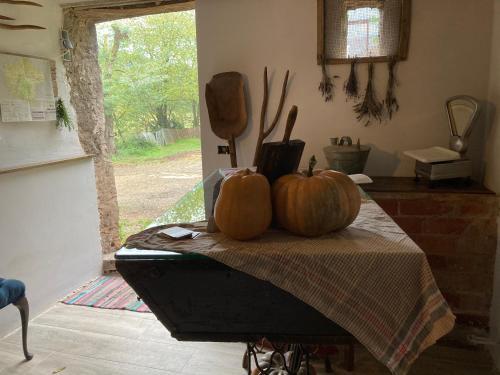 Apartamento La Cabanya De Mas Gingi
