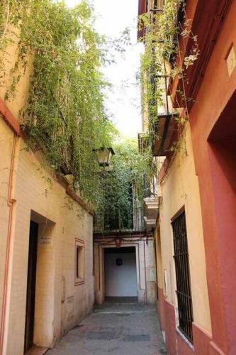Apartamento Sevilla Santa Cruz