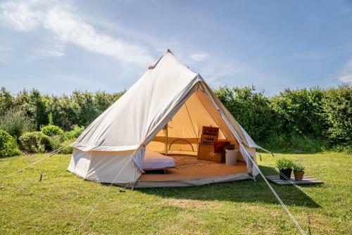 The Paddock Wildcamp
