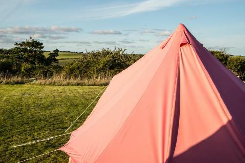 The Paddock Wildcamp