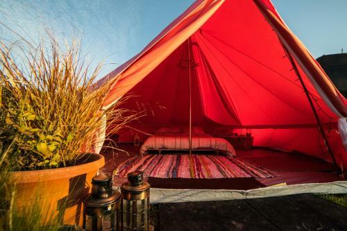 The Paddock Wildcamp