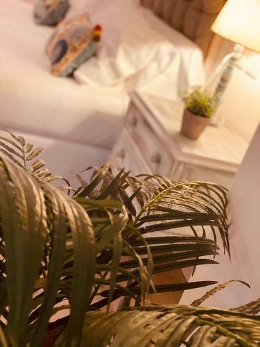 Casa Ruy L�pez Apartamento Espa�a