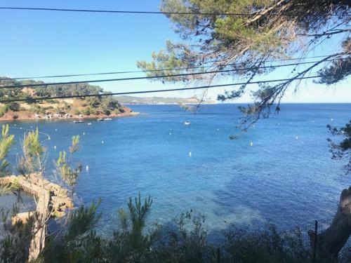 Apartamento La Grande Bleue