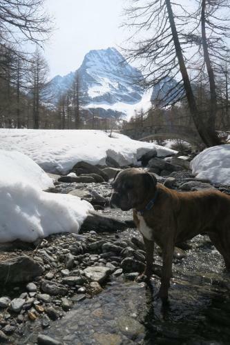 Apartamento Monoloc. Bosco Delle Fate