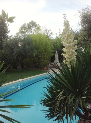 Bed & Breakfast Villa O�a