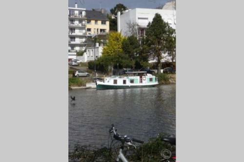 Apartamento Le Cocon de Zola, 2 Chambres Avec Parking