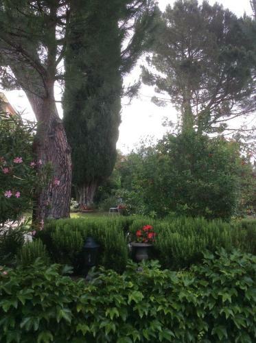 Le Jardin