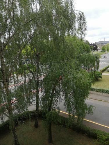 Apartamento Beau Studio Proche Front De Mer Avec Place De Parking