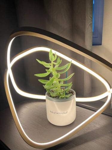 Apartamento The Glass Loft At Ei8ht 2 Minutes To Devon House