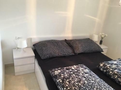 Apartamento Dux Solo