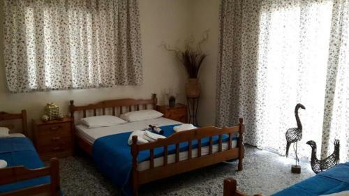 Exohi Apartments