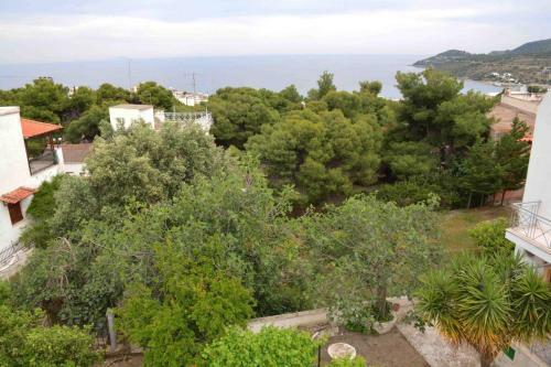 Apartamento Aelia Houses