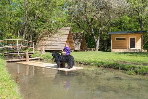 Kamp Na Otoku - Ljubno Ob Savinji