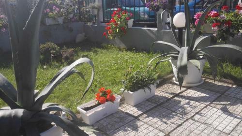 Hostal Guest House Stoyanovi
