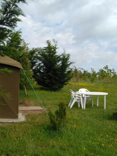 La Tente Du Commandant Nuit Insolite