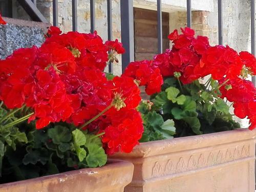 Agroturismo Fattoria Di Rigone