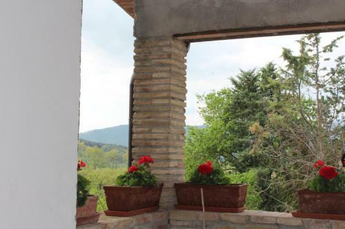 Agroturismo Fattoria Di Rigone