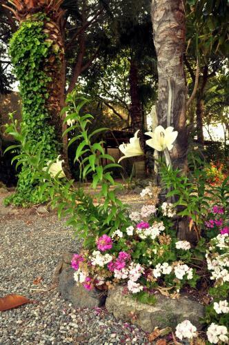 Hostal Le M�nnare Case Vacanze