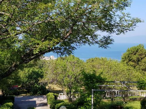 Apartamento Gradina