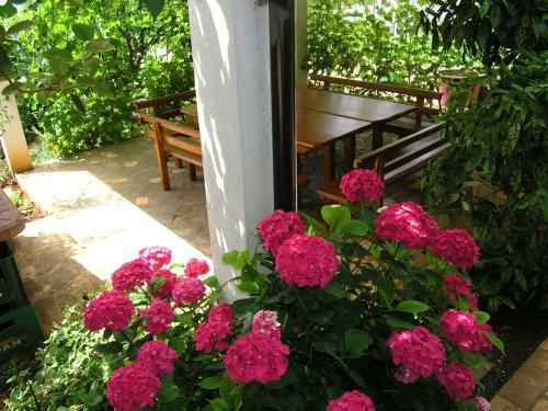 Apartman Juric