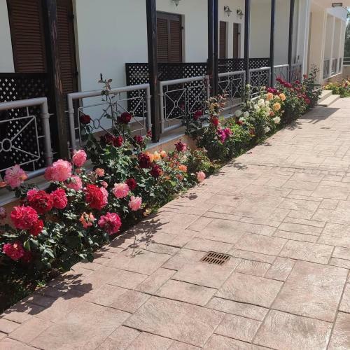 Apartamento Guesthouse Michobeis