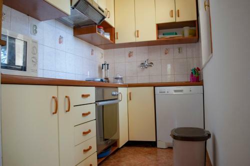 Deluxe Seafront Apartment (4+1) - Maslinica