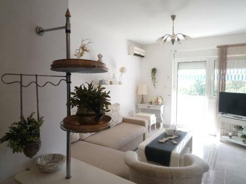 Eco-friendly Apartment With Filtered Water
