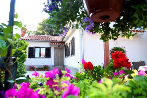 Nadia's House