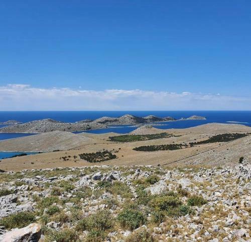 Apartmani Aldy