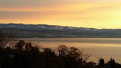 Apartmani Adria