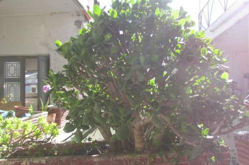 Apartamento Appartamento Cagliari
