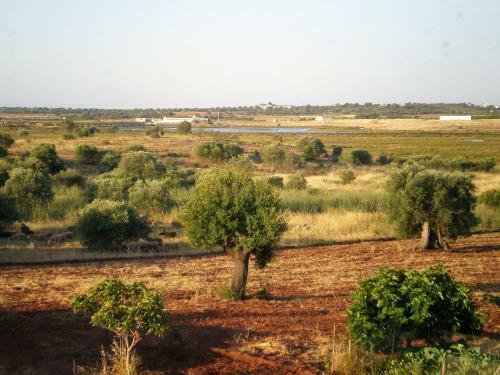 Hostal Casa Natura