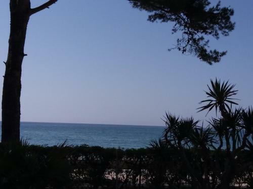 Apartamento 1� Linea Con Vistas Mar