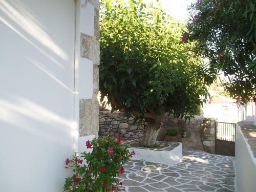 Apartamento Ostria's House