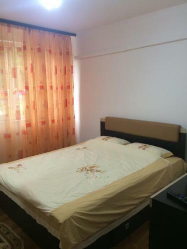 Voxx Apartment
