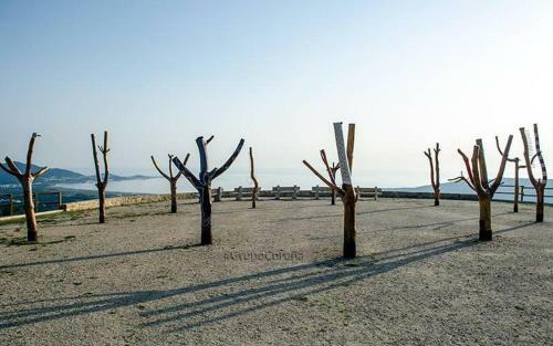 Carnota Beach