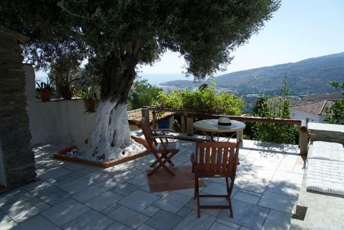 Alba Andros Traditional Villa - 1