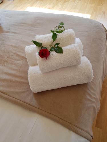 Bed & Breakfast St. Ellens