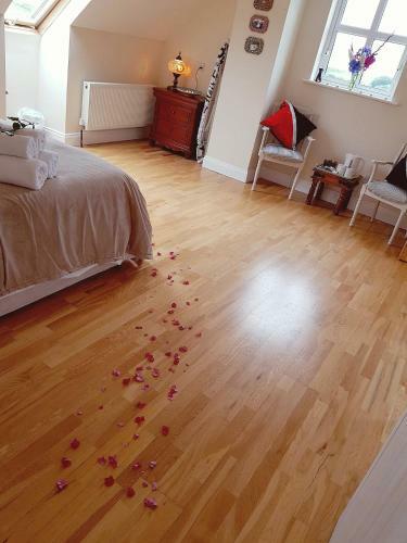 Bed & Breakfast St. Ellens