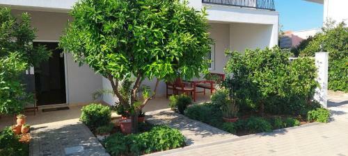 Apartments Vukman Okrug Donji