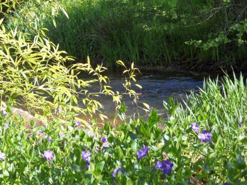 Bed & Breakfast Le Moulin De Teiteix