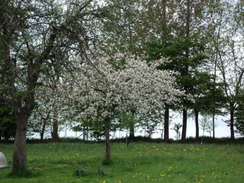 Bed & Breakfast La Demeure