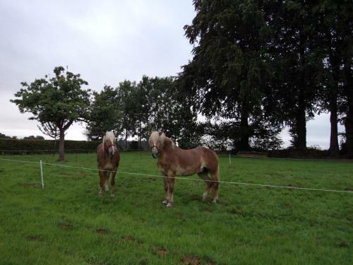 Bed & Breakfast La Demeure