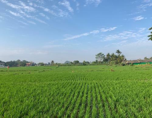 Villa Saia Ubud