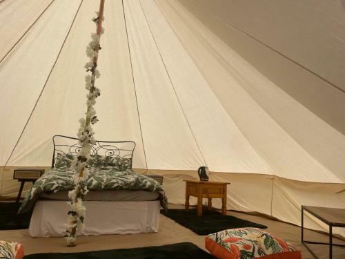 Luxury Glamping At The Riverside